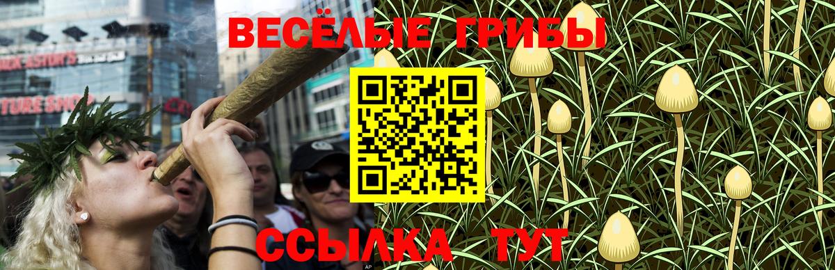 Галлюциногенные грибы Psilocybe  Вход с VPN  Таганрог  Псилоцибиновые грибы MAGIC MUSHROOMS 